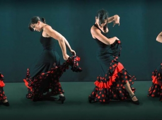 Bailaora de flamenco con vestido negro